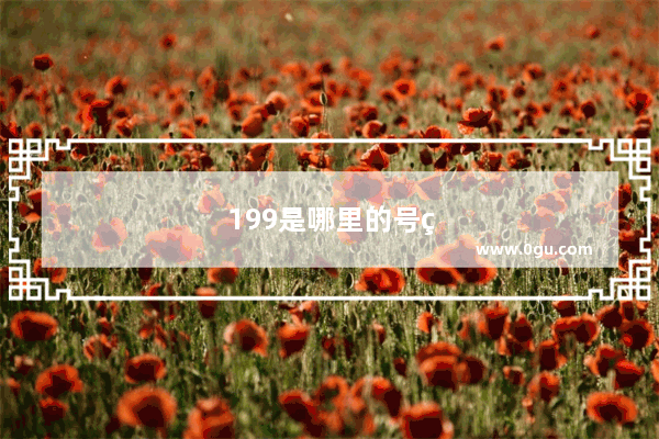 199是哪里的号码
