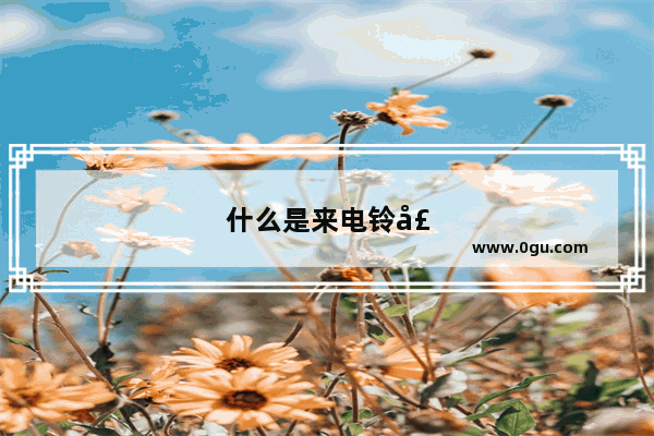 什么是来电铃声和去电铃声啊