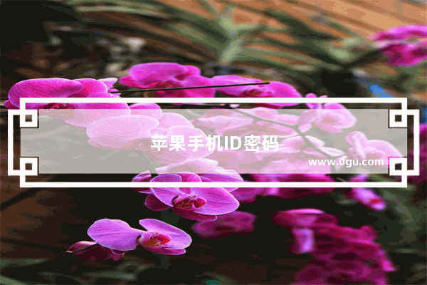 苹果手机ID密码怎么设置