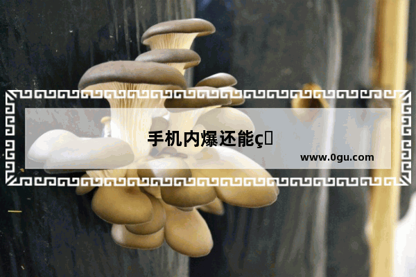 手机内爆还能用吗