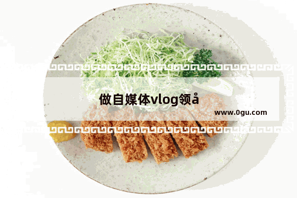做自媒体vlog领域 有必要买一个云台稳定器吗 智云4怎么样