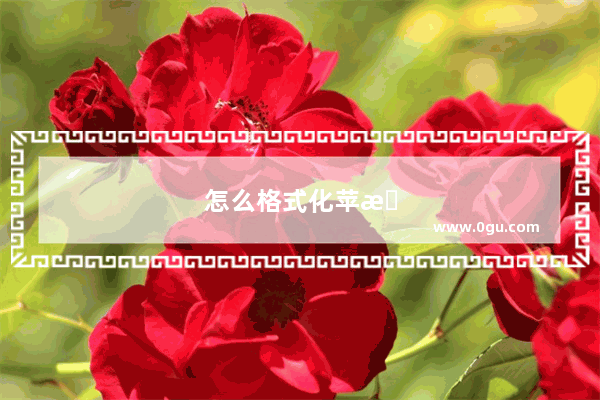 怎么格式化苹果手机所有数据
