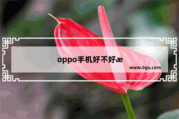 oppo手机好不好有什么优缺点