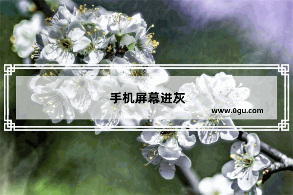 手机屏幕进灰