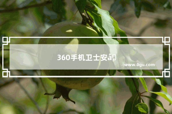 360手机卫士安全性怎么样