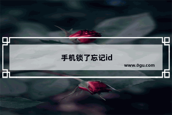 手机锁了忘记id账号和密码怎么办