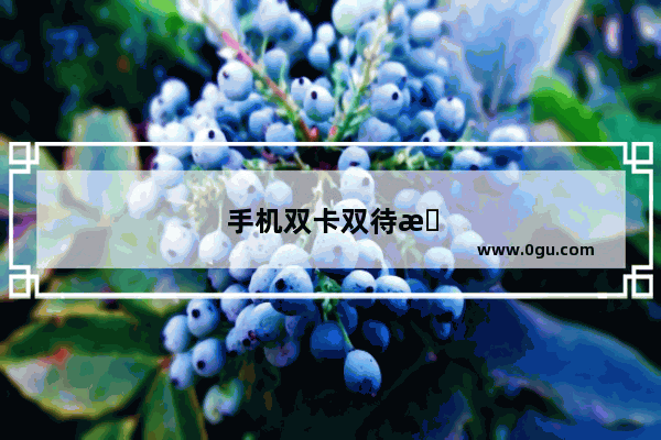 手机双卡双待怎么设置