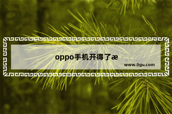 oppo手机开得了机可使用不了怎么回事