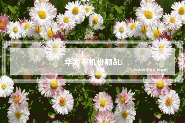 华为手机份额全球第一