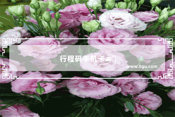 行程码手机卡拔了还能记录吗