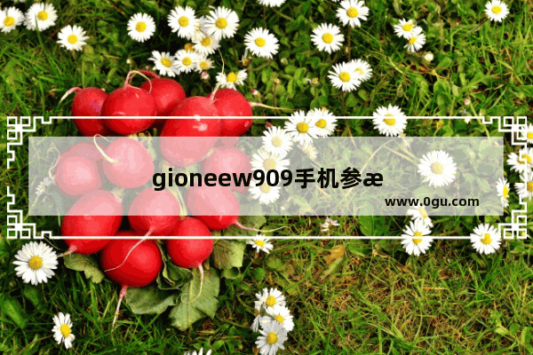 gioneew909手机参数