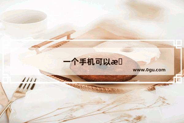 一个手机可以接两个共享充电宝吗