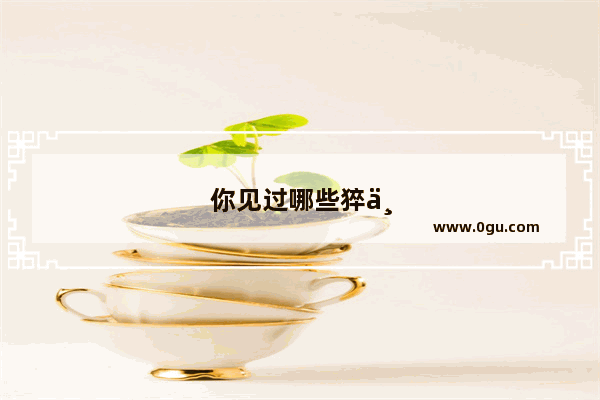 你见过哪些猝不及防的广告