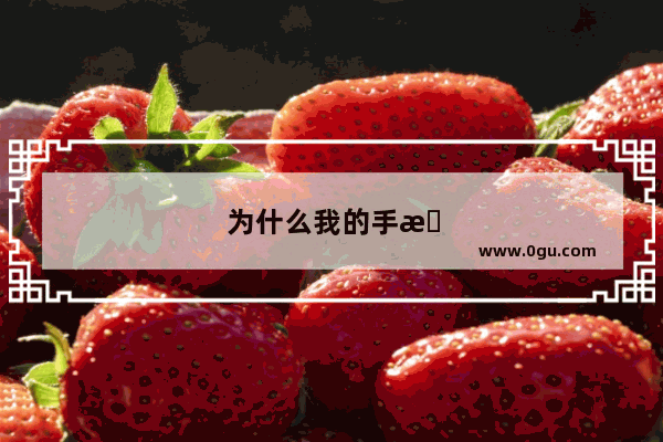 为什么我的手机共享不了别人的热点