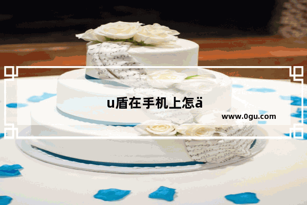 u盾在手机上怎么用