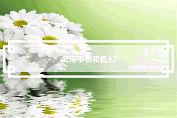 低速手机和低速弯机头区别