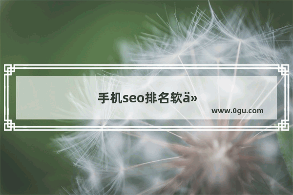 手机seo排名软件