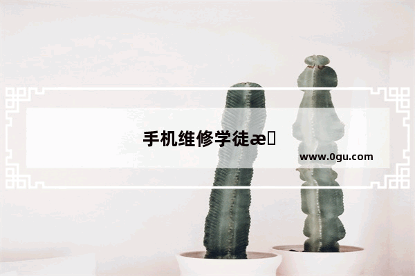手机维修学徒招聘信息