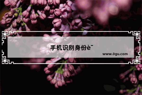 手机识别身份证NFC