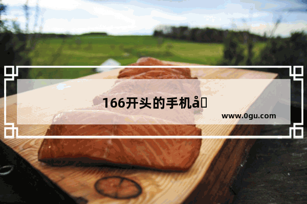 166开头的手机卡是什么卡