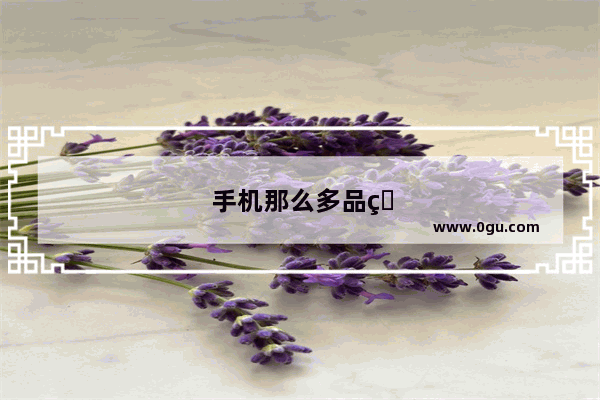 手机那么多品牌怎么选