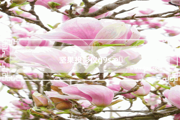 坚果投影仪g9s怎么玩游戏