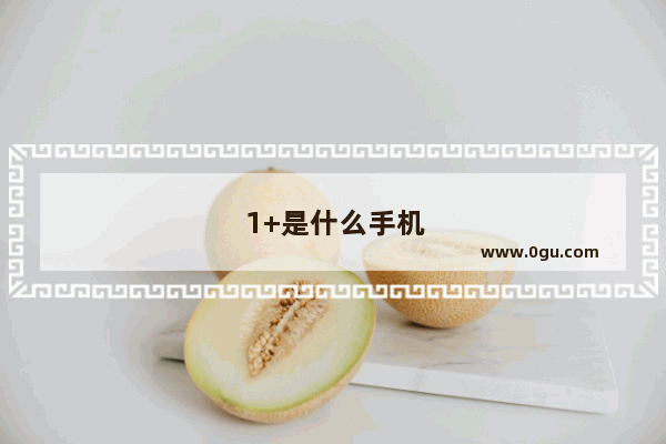 1+是什么手机
