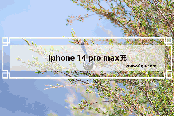 iphone 14 pro max充着电玩伤手机吗