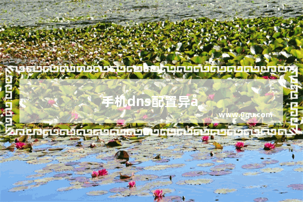 手机dns配置异常怎么处理