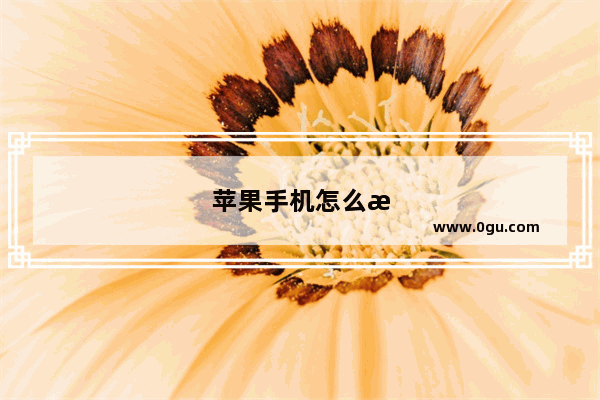 苹果手机怎么格式化