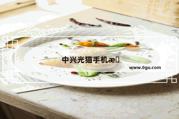 中兴光猫手机怎么设置