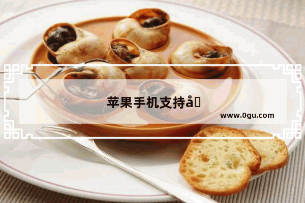 苹果手机支持几个卡