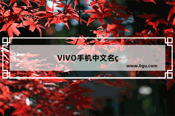VIVO手机中文名称叫什么