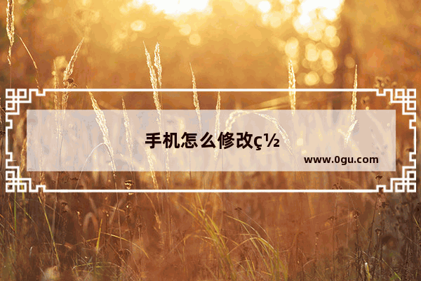 手机怎么修改网络dns设置