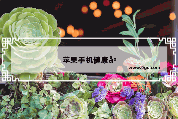 苹果手机健康度一年掉多少