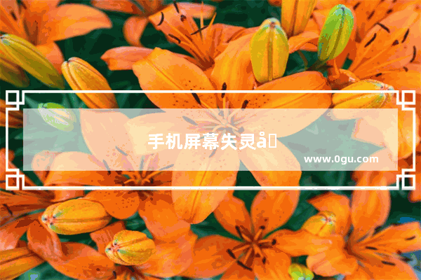 手机屏幕失灵划不动怎么办