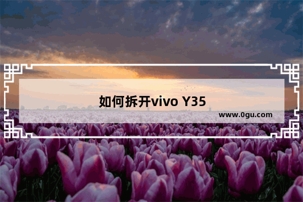 如何拆开vivo Y35的手机后盖