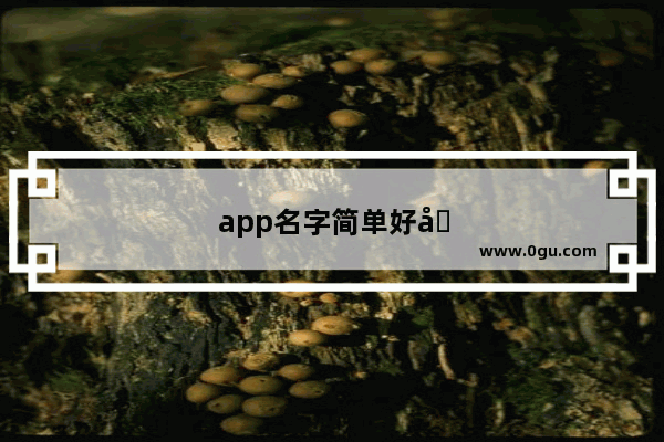 app名字简单好听