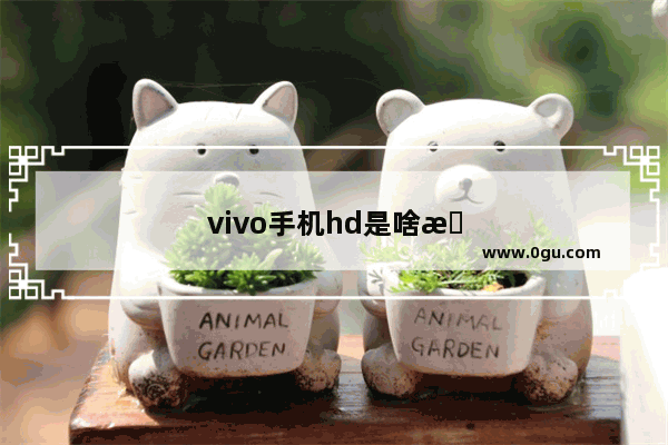 vivo手机hd是啥意思