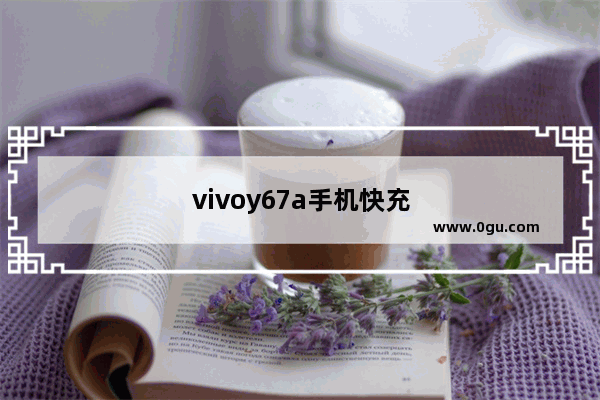 vivoy67a手机快充怎么开启