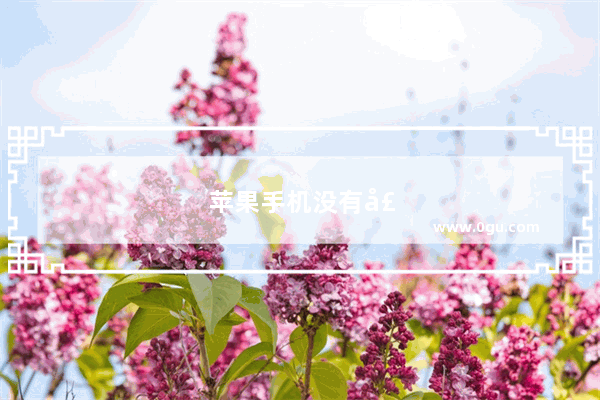 苹果手机没有声音是哪个设置没调好吗