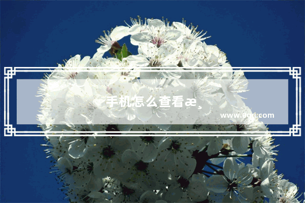 手机怎么查看游戏实时帧率