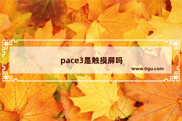 pace3是触摸屏吗