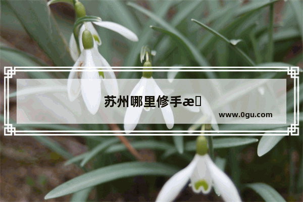 苏州哪里修手机比较合算