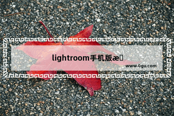 lightroom手机版怎么添加图形