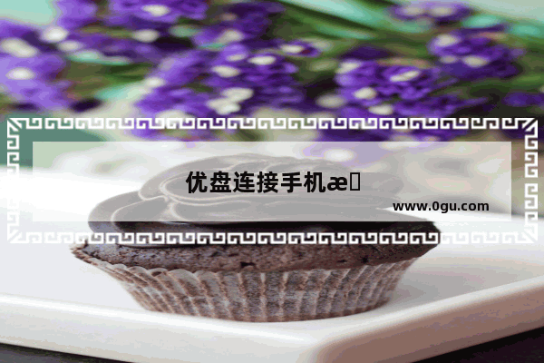 优盘连接手机怎么打开优盘