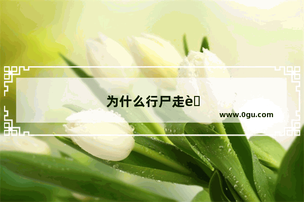为什么行尸走肉没有蓝光版的？视频的清晰度有哪几种啊？1080p 1280p HD 蓝光分别什么意思