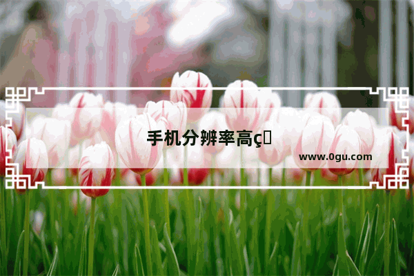 手机分辨率高的手机推荐