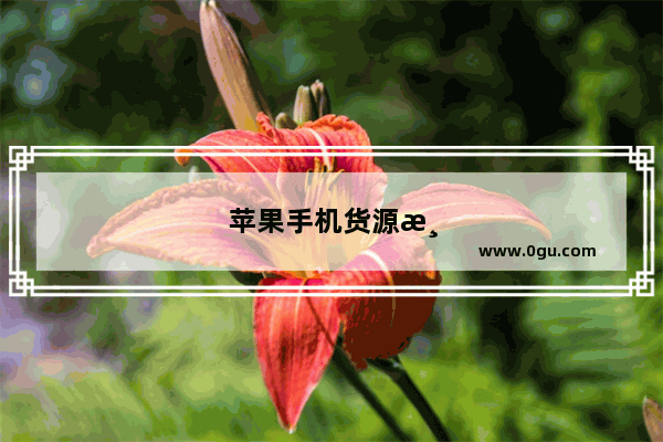 苹果手机货源渠道
