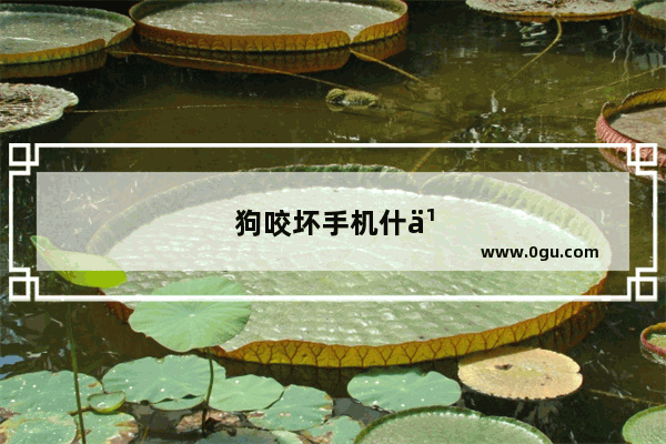 狗咬坏手机什么征兆